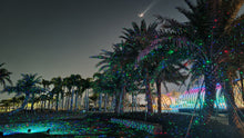 Load image into Gallery viewer, Ultra Bright RGB Moving Firefly Outdoor Garden Laser with RF Remote