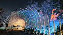 Load image into Gallery viewer, Ultra Bright RGB Moving Firefly Outdoor Garden Laser with RF Remote